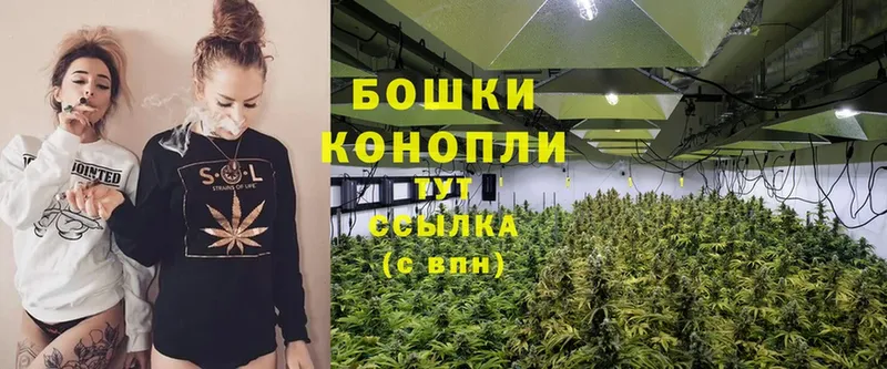 закладки  Вятские Поляны  МАРИХУАНА THC 21% 